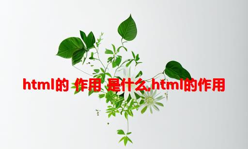 html的 作用 是什么,html的作用